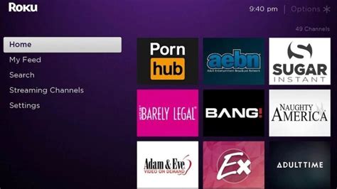 Roku Porn: The Best Roku Porn Channels and Apps